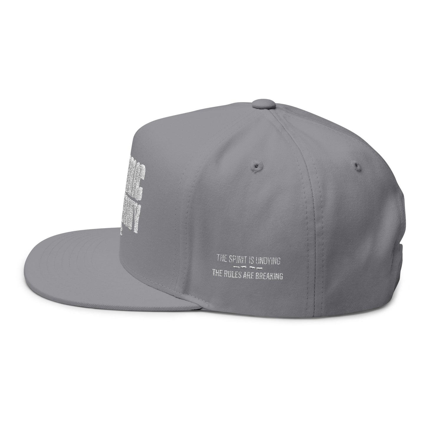 Metabolic Sovereignty Baseball Cap - Spirit Undying Rules Breaking Biohacking Hat