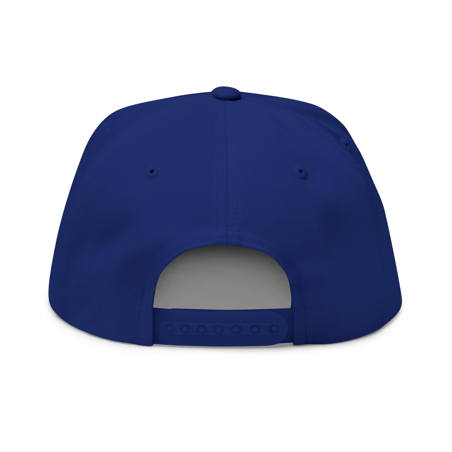 Metabolic Sovereignty Baseball Cap - Spirit Undying Rules Breaking Biohacking Hat